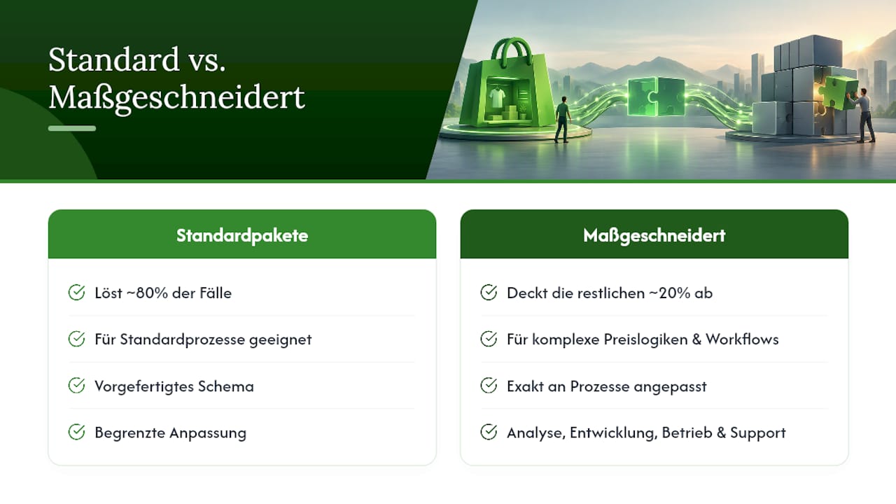 Warum maßgeschneiderte Integrationen oft die bessere Wahl sind — overview diagram